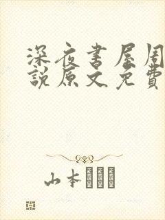 深夜书屋周泽小说原文免费阅读封面