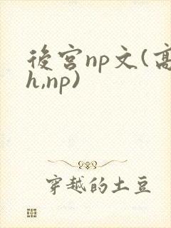后宫np文(高h,np)