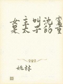 女主叫沈鸾男主是太子的重生小说