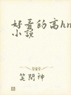 好看的高hnp小说