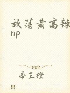 放荡黄高辣h文np