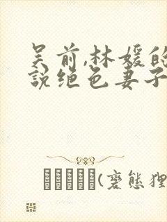 吴前,林媛的小说绝色妻子