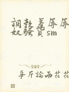 调教羞辱辱骂贱奴骚货sm