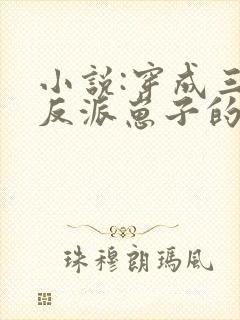 小说:穿成三个反派崽子的后娘怎么办封面