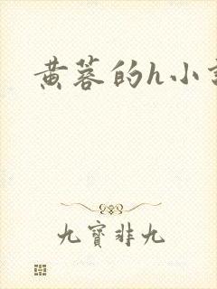 黄蓉的h小说封面