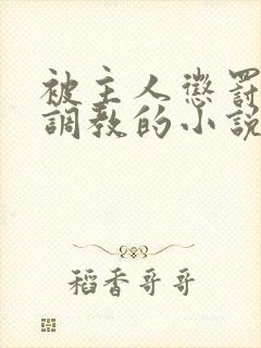 被主人惩罚玩弄调教的小说