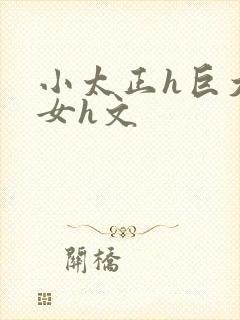 小太正h巨大熟女h文
