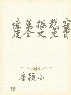 亿万总裁宠妻无度全文免费阅读