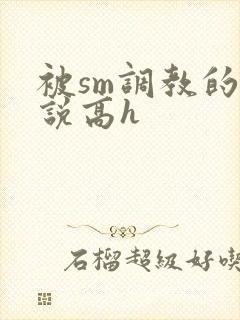 被sm调教的小说高h