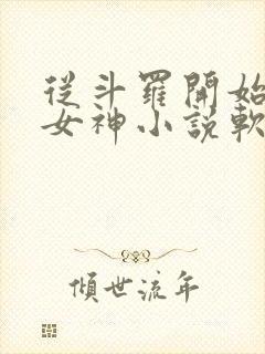 从斗罗开始俘获女神小说软件