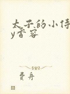 太子的小侍妾by香容