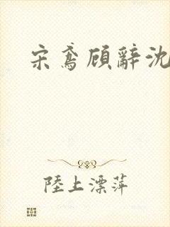 宋鸢顾辞沈煜安