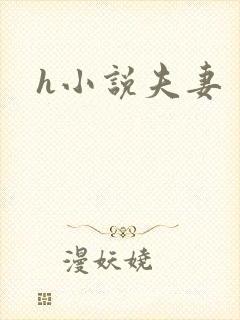h小说夫妻