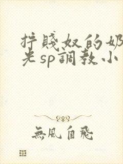 拧贱奴的奶头耳光sp调教小说