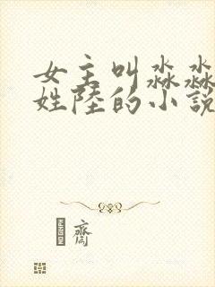 女主叫淼淼男主姓陆的小说