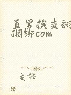 直男挨爽翻呻淫捆绑com封面