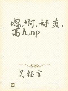 嗯,啊,好爽,高h,np