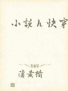 小说 h 快穿