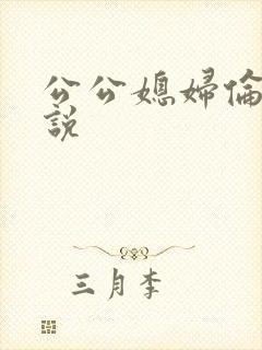 公公媳妇伦理小说