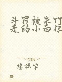 斗罗被朱竹清拐走的小白狼