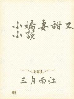 小娇妻甜又甜 小说