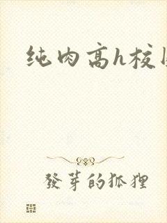 纯肉高h校园封面