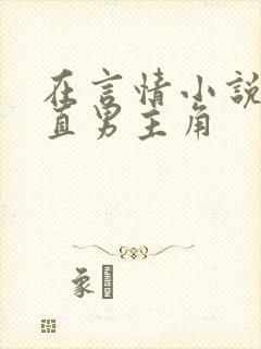 在言情小说里撩直男主角