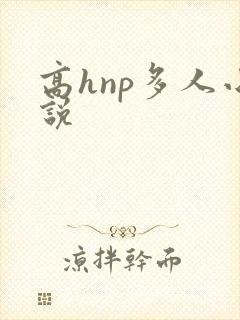 高hnp多人小说封面