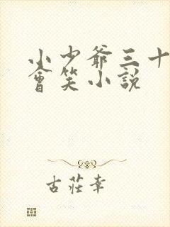 小少爷三十天后会笑小说