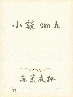 小说 sm h