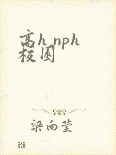 高h nph 校园