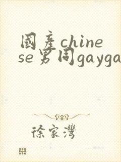 国产chinese男同gaygay网站