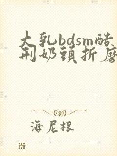 大乳bdsm酷刑奶头折磨乳夹