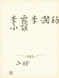 李霖李澜的官场小说