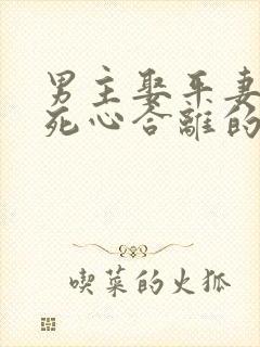 男主娶平妻女主死心合离的古言