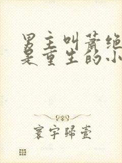 男主叫萧绝女主是重生的小说