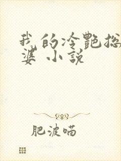 我的冷艳总裁老婆 小说封面