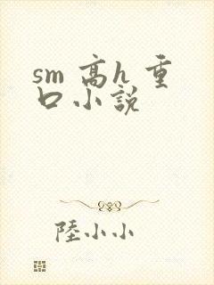 sm 高h 重口小说