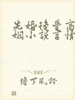 先婚后爱商业联姻小说言情封面