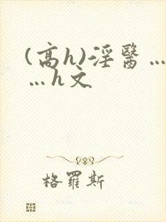 (高h)淫医……h文