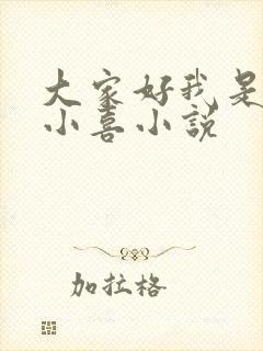 大家好我是叫林小喜小说