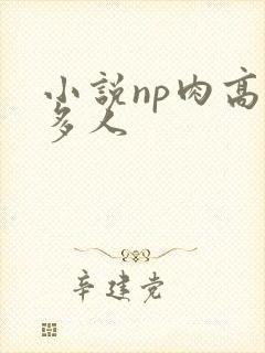 小说np肉高h多人