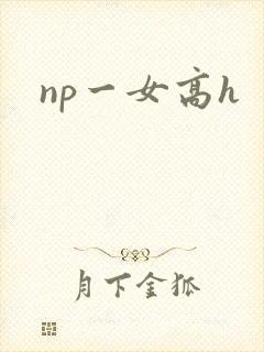 np一女高h