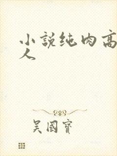小说纯肉高h多人