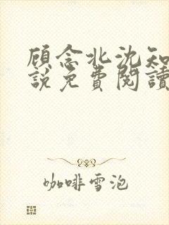 顾念北沈知宁小说免费阅读最新章节