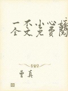 一不小心嫁总裁全文免费阅读