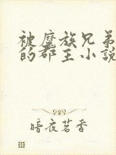 被魔族兄弟囚禁的郡主小说免费阅读封面