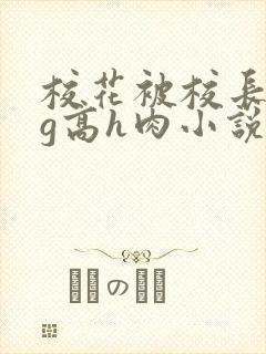 校花被校长抱着g高h肉小说