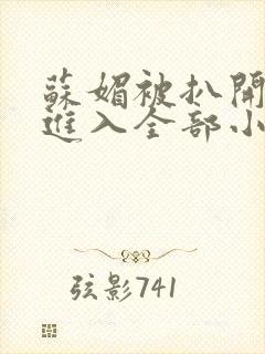 苏媚被扒开双腿进入全部小说