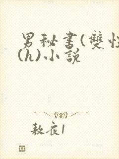 男秘书(双性)(h)小说